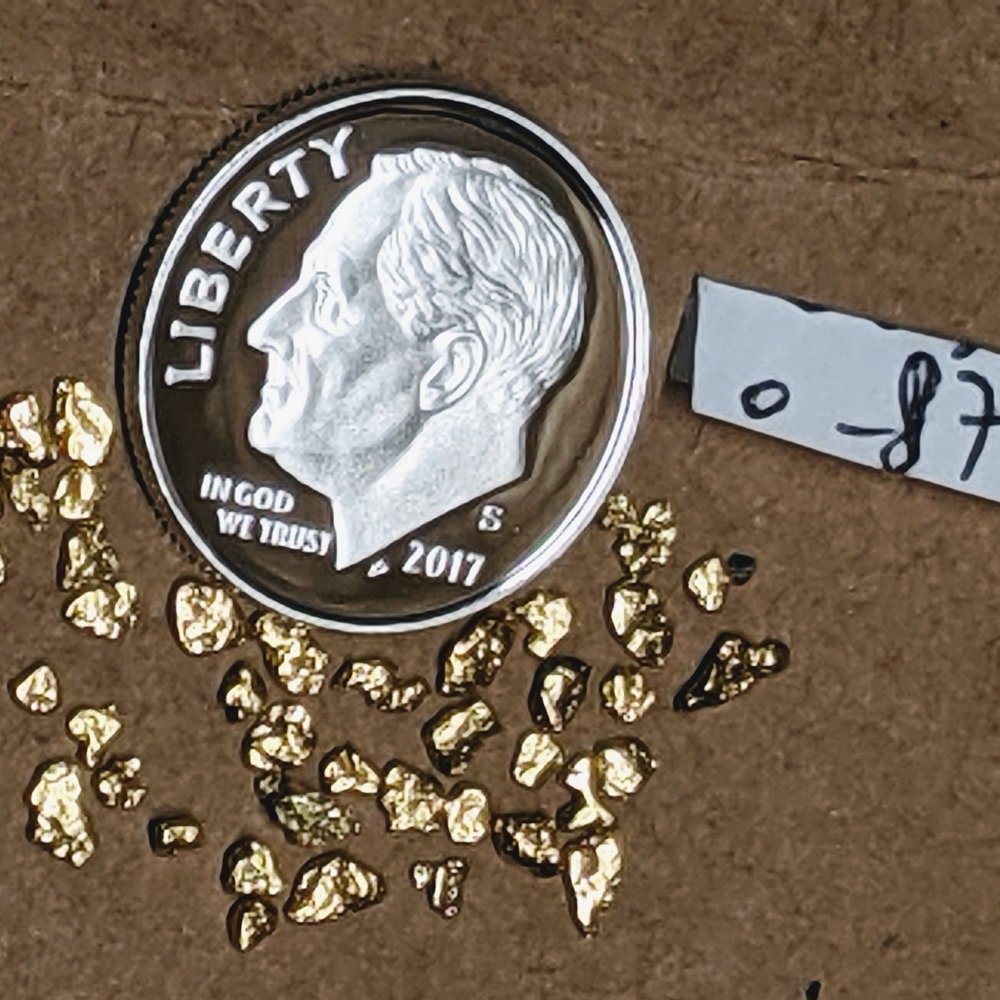GOLD!👉Raw Alaskan Nuggets🥇Hi-Grade💎Mesh #12-14